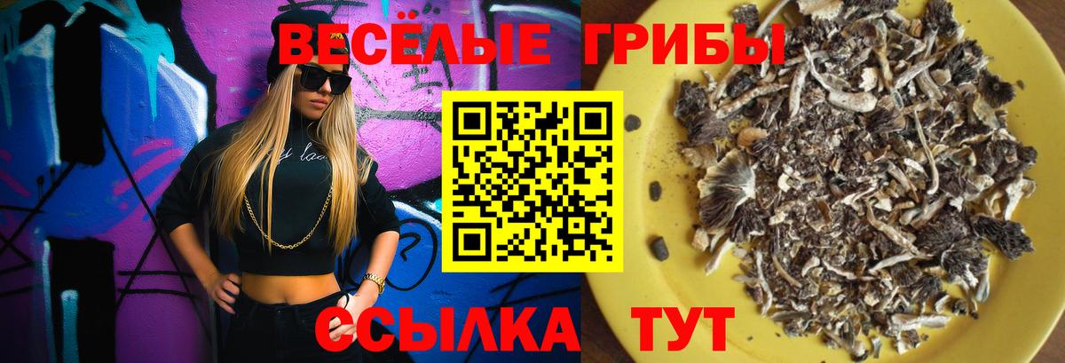 Майкоп  Галлюциногенные грибы мухоморы  Вход с VPN  Галлюциногенные грибы MAGIC MUSHROOMS 