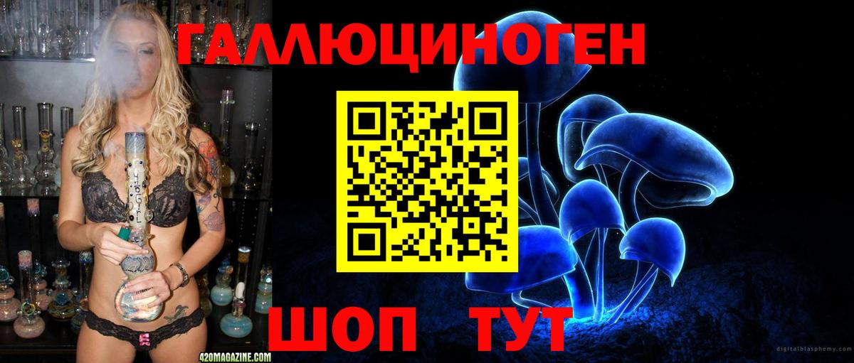 Псилоцибиновые грибы ЛСД Майкоп